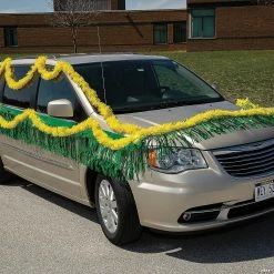 Promo 🥰 Metallic Fringe 😍 -Party Decorations by Fundraiser Sales Shop 10 ft green metallic fringe13775635 a02